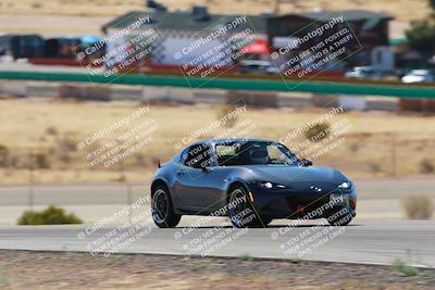 media/Mar-08-2025-Extreme Speed (Sat) [[4abb97269e]]/Purple/Turns 2  and  4 (Session 2)/